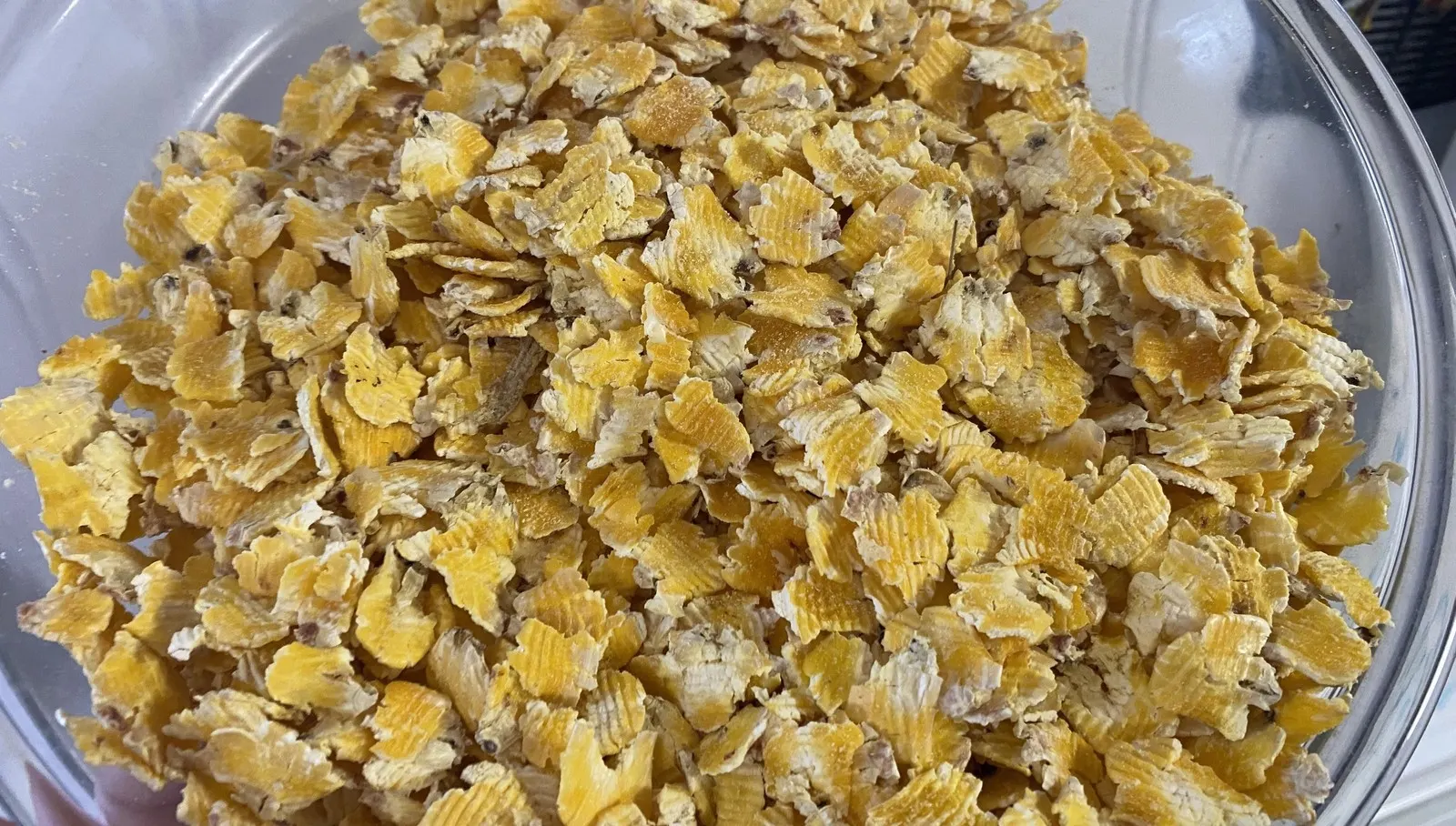Steam-Flaked Corn
