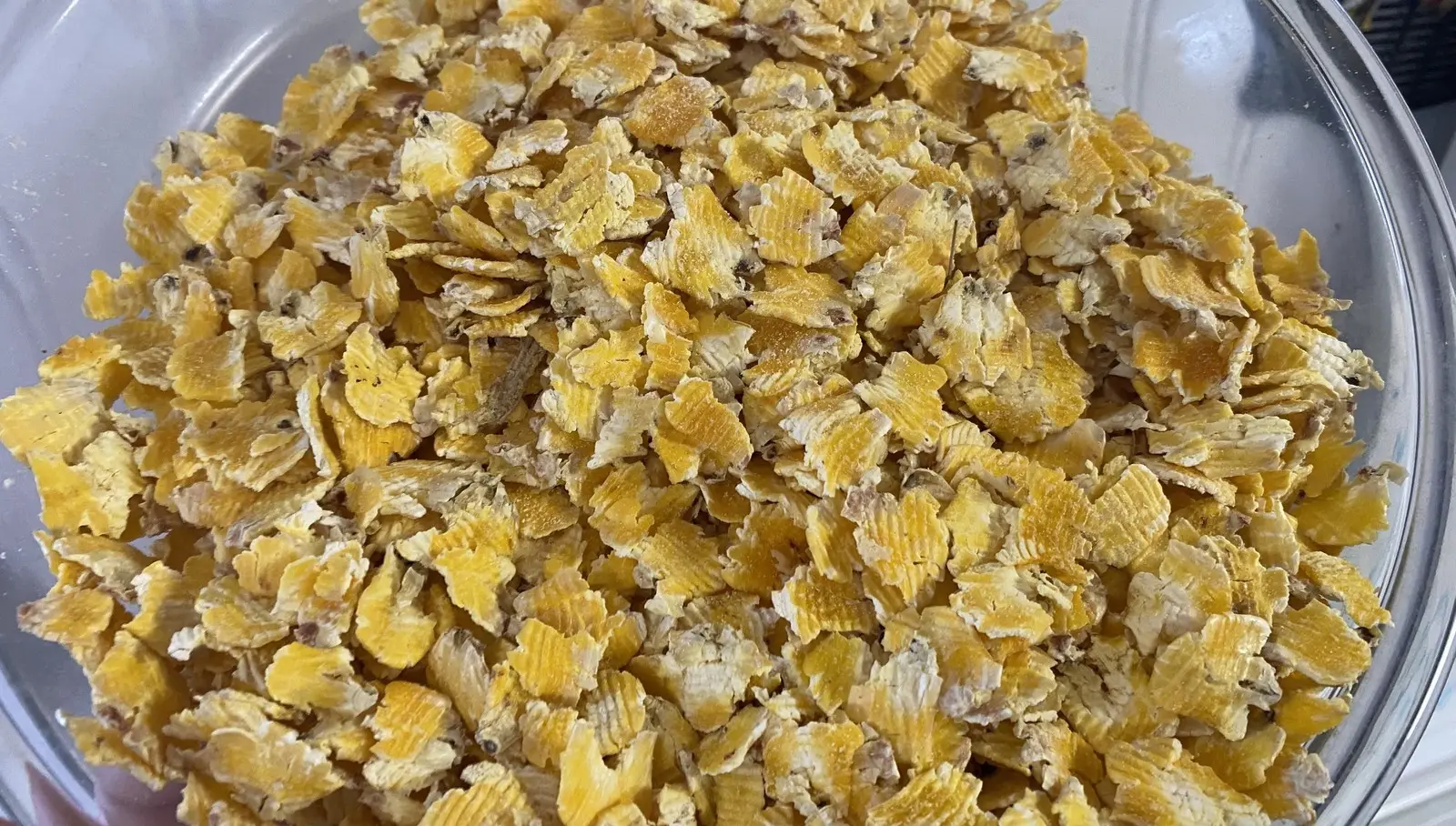 Steam-Flaked Corn